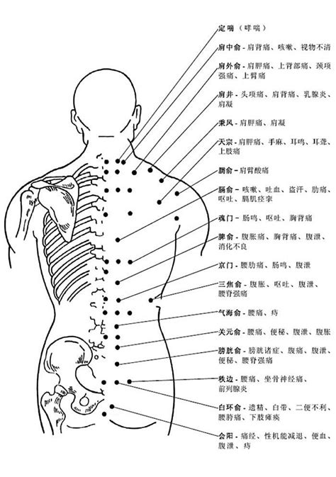 背後穴位圖|背部穴道：為什麼需要按摩背部穴道？